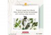 Healthroots: Reviving traditional medicine with contemporary evidence