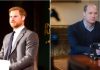 Are Prince Harry and Prince William ready to reunite? Royal brothers come together to honor Princess Diana