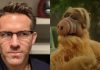 Ryan Reynolds to revive childhood memories with ALF; returns with twist on Maximum Effort channel