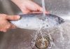Cleaning and scaling a fish efficiently and quickly