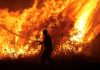 Majority in fires in Greece were started by ‘human hand’, official says | World News