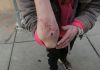 Alarming rise in ‘zombie drug’ deaths in America as White House reveals action plan | US News