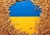 Blackmail with grain: how Poland is exacerbating the crisis of Ukrainian agricultural exports