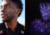 ‘I didn’t know what it was’: Late Chadwick Boseman almost played THIS character and not Black Panther in USD 773 million MCU movie