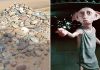Harry Potter: Visitors urged not to leave socks at Dobby’s memorial in Pembrokeshire | UK News