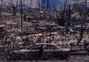 Hawaii wildfires: At least 106 killed – and children among victims yet to be identified, says governor | US News