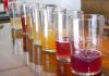 Call for large trial to see if kombucha helps type-2 diabetes after ‘very promising’ results | Science & Tech News