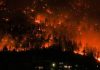 Canada wildfires force thousands to flee as state of emergency declared | World News
