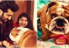 ‘Death has been cruel to…’: Arjun Kapoor, sister Anshula mourn the loss of ‘best boy’ Maximus in moving notes