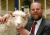 Sir Ian Wilmut: Scientist who led team which cloned Dolly the sheep dies | UK News