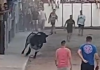 Man dies after being gored at Spanish bull-run in the Valencia region | World News