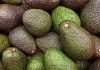 Trick to keep avocados fresh for 6 months