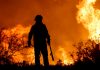 Argentina wildfires: Man arrested and dozens evacuated as flames engulf central province | World News