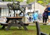 Australia: Five killed and six injured after car crashes into pub beer garden | World News