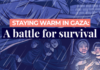 Staying warm in Gaza: A battle for survival | Infographic News
