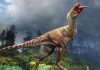 Discovery of baby dinosaur remains inside fossil of tyrannosaur could shed new light on its eating habits | World News