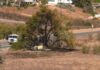 Pilot dies after ‘experimental homebuilt’ plane crashes in California | US News
