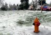 Three die from electrocution after live power line falls on car in Oregon ice storm | US News