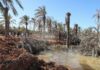 Mystery groundwater upsurge floods homes in Libyan coastal town | Environment News