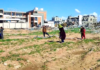 Palestinians are eating weeds to stay alive in Gaza | Newsfeed