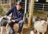 Dharmendra is on road to recovery after injury at family wedding; Here’s all you want to know