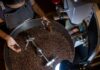 Coffee’s in danger: Can Vietnam’s Robusta save it from climate change? | Food