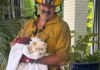 Cara Delevingne thanks firefighters after cats rescued from her burning home | Ents & Arts News