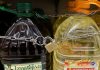 Olive oil most stolen item in many Spanish supermarkets as gangs target ‘liquid gold’ | World News