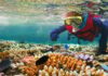 A new hope for coral reefs
