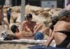 Tel Aviv beachgoers hope worst of Israel-Iran crisis is over – but long-awaited move in Gaza may not be far away | World News