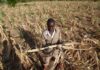 Zimbabwe declares state of disaster over drought sweeping across southern Africa | World News