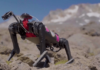 Four-legged “dog robot” could walk alongside humans on the Moon | Newsfeed