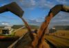EU agrees tariffs on Russian, Belarusian grain imports from July | Business and Economy News