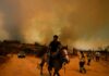 Chile arrests firefighter for allegedly starting deadly blaze in February | News