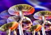 Magic mushrooms effective for treating depression – study | UK News