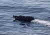 More than 23 migrants on boat bound for Italy are missing, Tunisian officials say | UK News