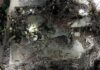 South Africa: At least three dead and dozens more trapped after multi-storey building under construction collapses | World News