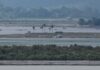 Rohingya ‘genocide intensifying’ as war rages in Myanmar’s Rakhine: BROUK | Rohingya News