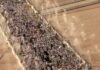 Video: Hajj heatwave makes rituals unbearable for some | Religion
