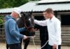 Could therapy horses be the solution to Britain’s prison crisis? | Prison