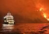 ‘Yacht fireworks’ spark forest blaze in Greece | World News