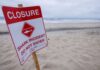 Shark attack victim punched it in the face, witness says | US News