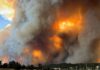 At least one dead in New Mexico village from wildfire that forced thousands flee their homes | US News