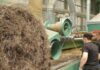 Flax industry ready for record harvest