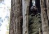 ‘We know the tactics they use’: The poachers turned gamekeepers of Kenya | Wildlife