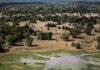 Ravaged by civil war, how a national park was restored in Mozambique | Environment
