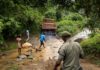 Photos: Sierra Leone rangers face a tough fight against deforestation | Poverty and Development
