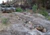 Russia-Ukraine war: List of key events, day 884 | Russia-Ukraine war News