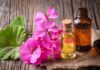 Geranium oil for hair: 5 ways to use it