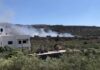 Israeli settlers set fire to olive groves in the occupied West Bank | Israel-Palestine conflict